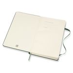 Ежедневник Moleskine CLASSIC Large 130х210мм 400стр. зеленый